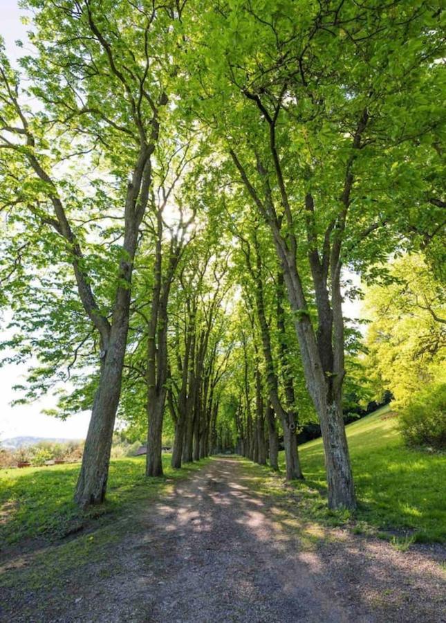 Ferienwohnung Urlaub In Schlossnaehe Artstetten Exterior foto